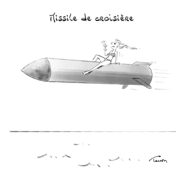 Missile de croisière