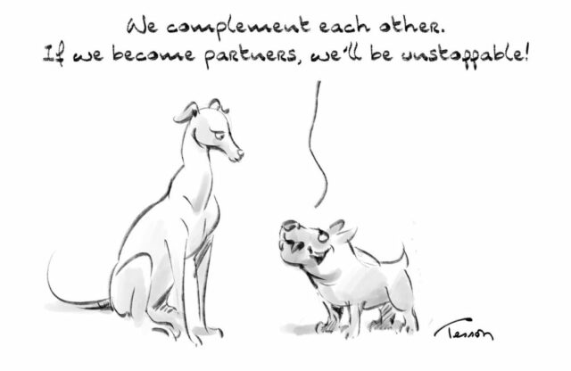 partner hurmou synergie cartoon team management