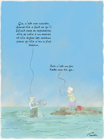 cerveau dessin humoristique